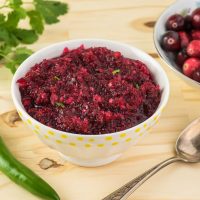 cranberry salsa