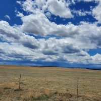 New Mexico Thunderheads